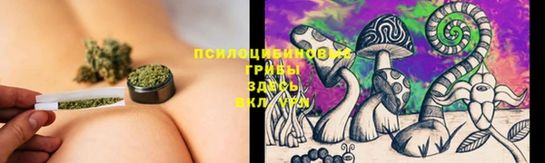 мескалин Богданович