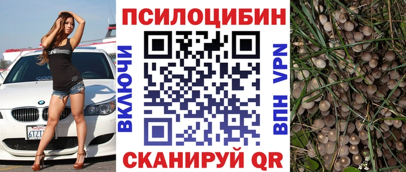blacksprut сайт  Жигулёвск  Галлюциногенные грибы Psilocybe 